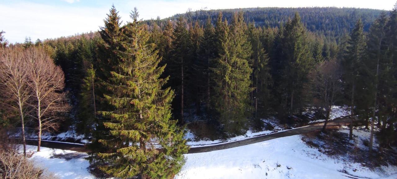 Ferienwohnung Tannenballett Im Schwarzwald Baiersbronn Luaran gambar