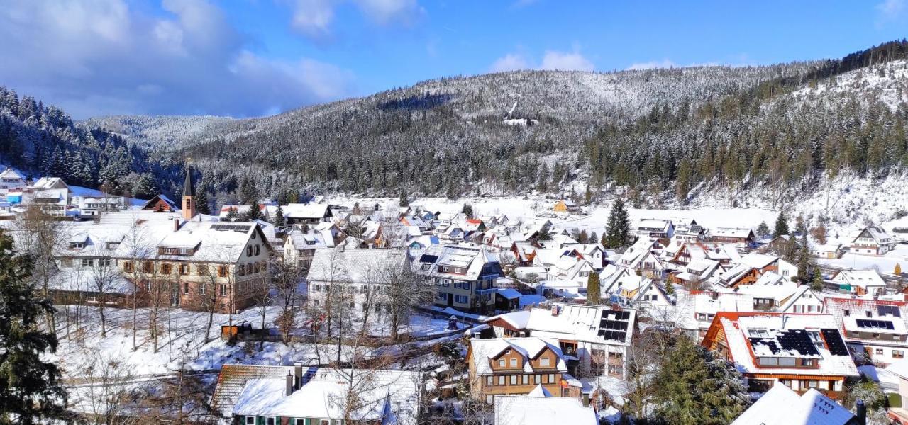 Ferienwohnung Tannenballett Im Schwarzwald Baiersbronn Luaran gambar