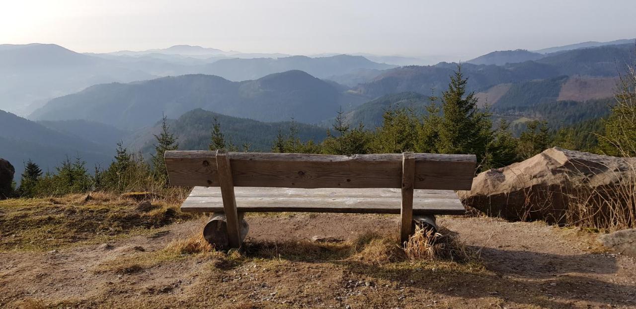 Ferienwohnung Tannenballett Im Schwarzwald Baiersbronn Luaran gambar