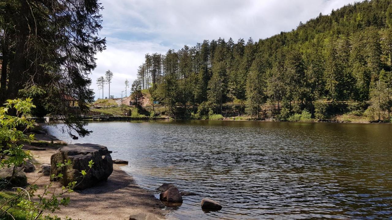 Ferienwohnung Tannenballett Im Schwarzwald Baiersbronn Luaran gambar