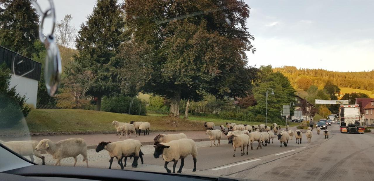 Ferienwohnung Tannenballett Im Schwarzwald Baiersbronn Luaran gambar