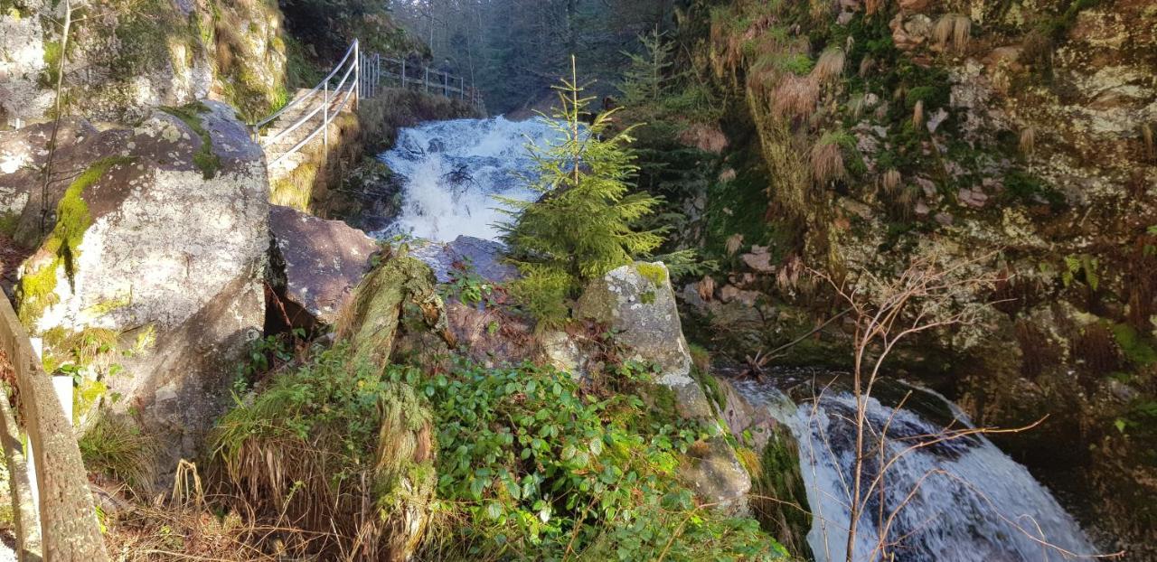 Ferienwohnung Tannenballett Im Schwarzwald Baiersbronn Luaran gambar