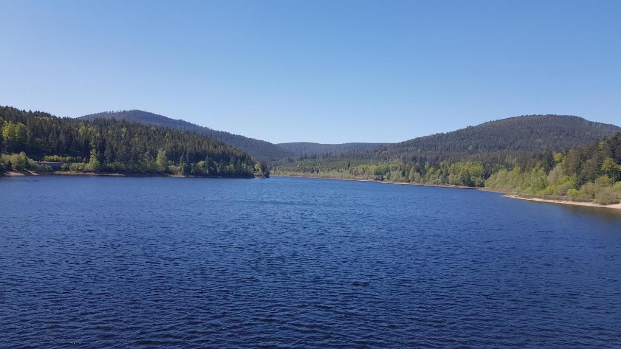 Ferienwohnung Tannenballett Im Schwarzwald Baiersbronn Luaran gambar