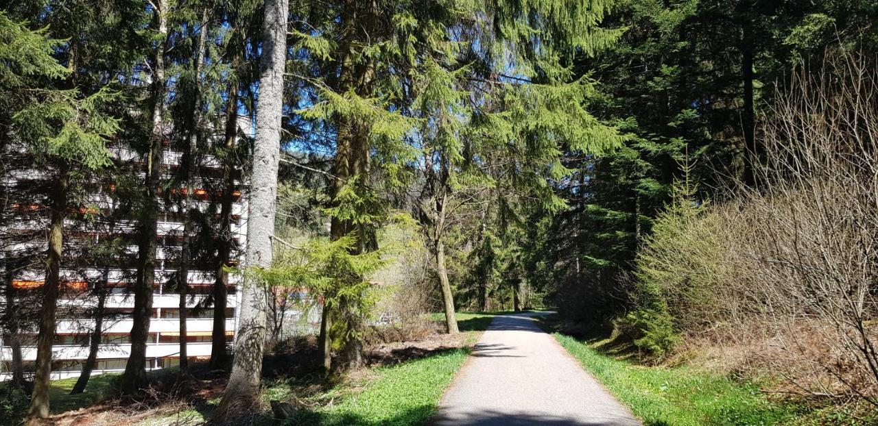 Ferienwohnung Tannenballett Im Schwarzwald Baiersbronn Luaran gambar