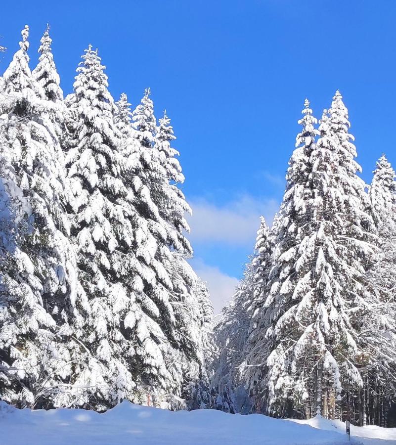 Ferienwohnung Tannenballett Im Schwarzwald Baiersbronn Luaran gambar