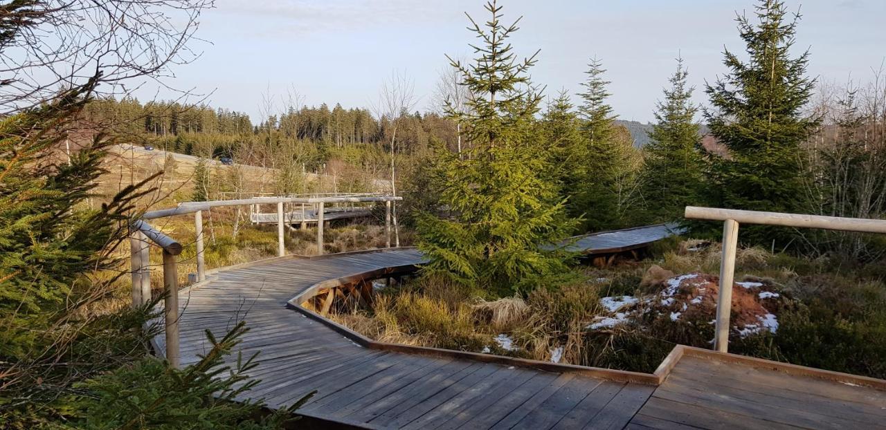 Ferienwohnung Tannenballett Im Schwarzwald Baiersbronn Luaran gambar