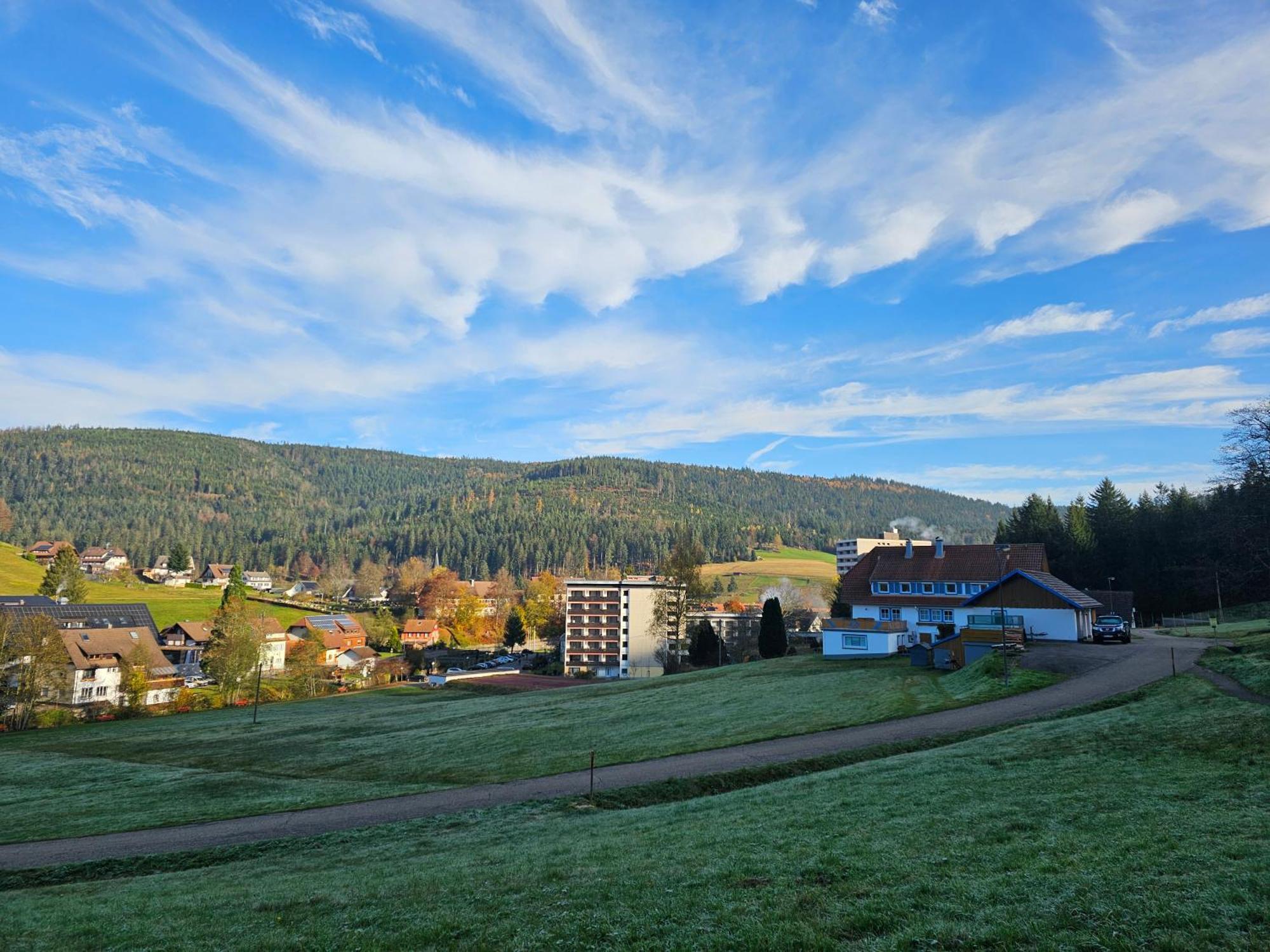 Ferienwohnung Tannenballett Im Schwarzwald Baiersbronn Luaran gambar