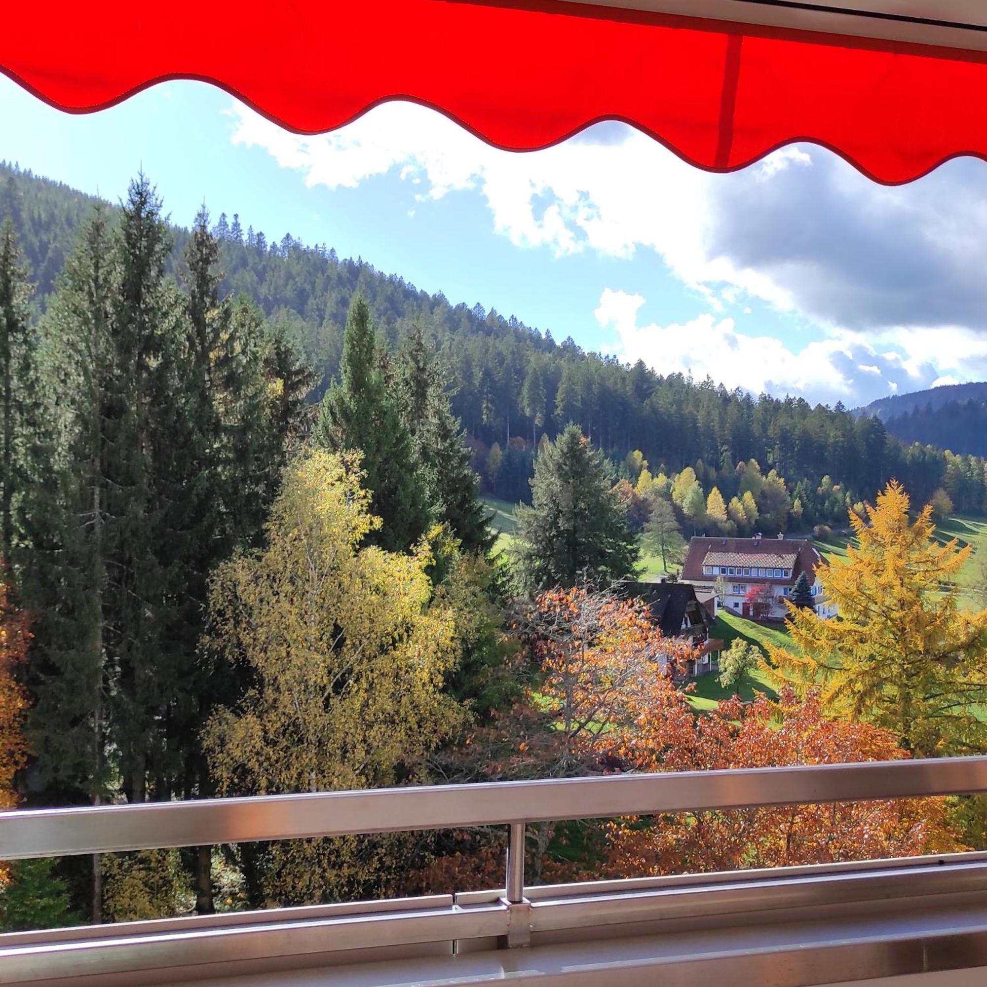 Ferienwohnung Tannenballett Im Schwarzwald Baiersbronn Luaran gambar