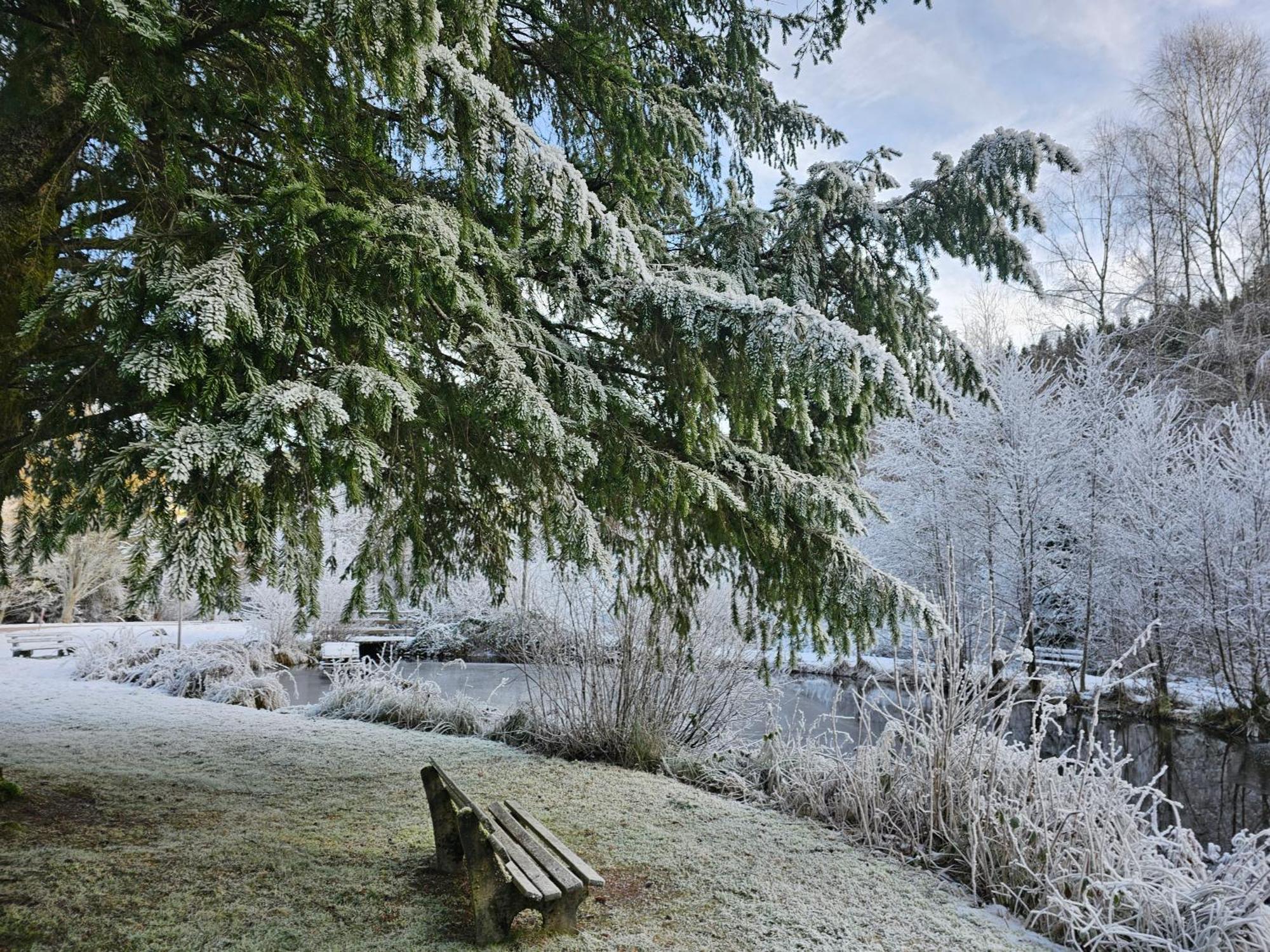 Ferienwohnung Tannenballett Im Schwarzwald Baiersbronn Luaran gambar